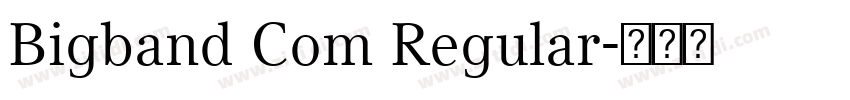 Bigband Com Regular字体转换